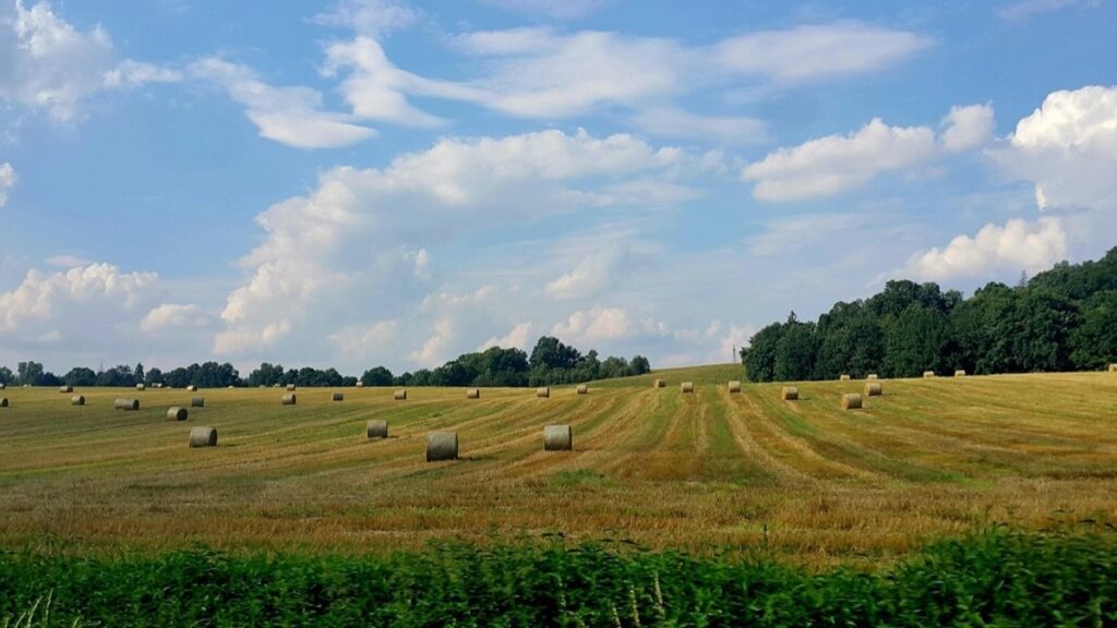 długi weekend Boże Ciało 2026 – Chrzanów i okolice, nocleg w Hotelu Mikunda
