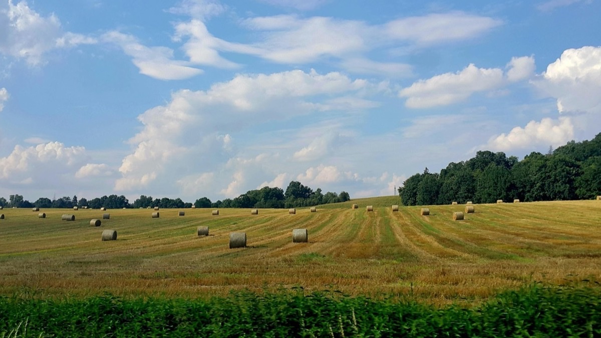 długi weekend Boże Ciało 2026 – Chrzanów i okolice, nocleg w Hotelu Mikunda